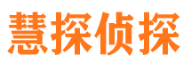 新浦市侦探调查公司